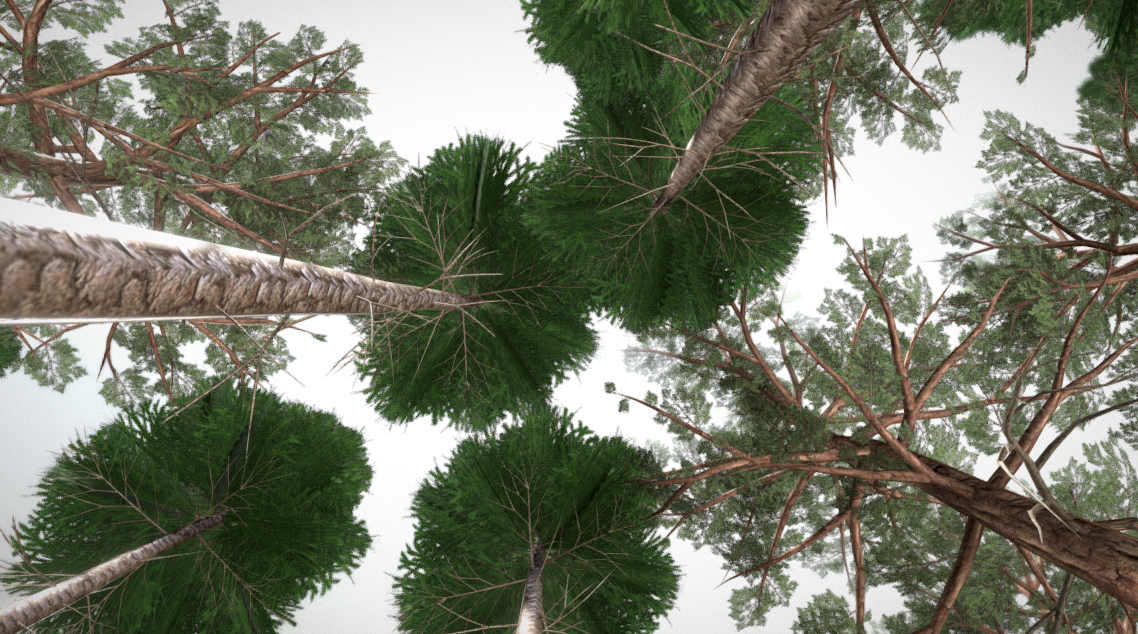 Top 10 unserer besten 3D-Baum-Modell: Nadelwald-Kiefer-Fichten.