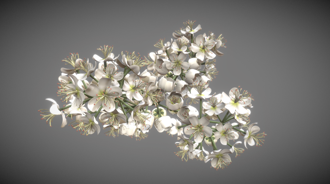Top 10 unserer besten 3D-Modelle: Blüte (high poly)