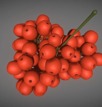 3D-Modell: Rowanberry
