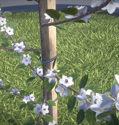 Hochdetailliertes 3D-Baum-Modell: Birnbaum im Frühling in verschiedenen Größen, mit Texturen und Materialien.