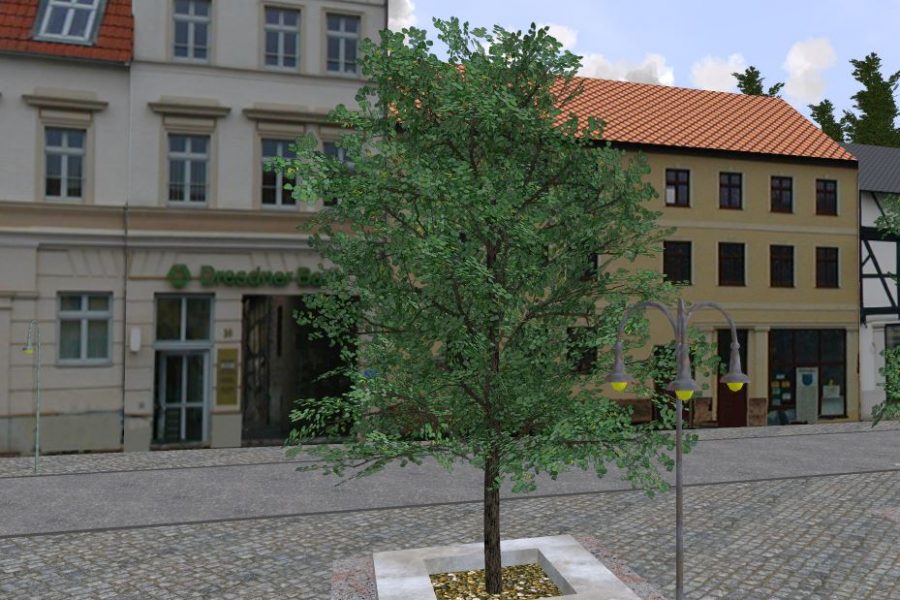 Laubbäume