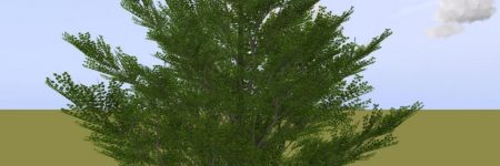 Kostenloses 3D-Modell Platane 25 m – Frühling